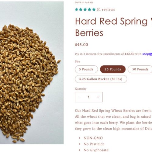 hard red wheat berries 25lb edb3fdb9 8bdd 44dc aded 549b183247f6