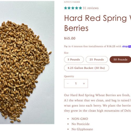 hard red wheat berries 50lb 1e94246a 39bd 4cfa 9b83 a535459391da